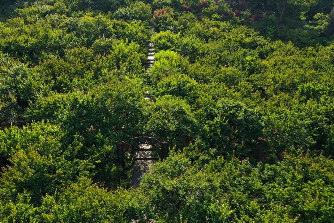 这2条线路，夏天去正好！