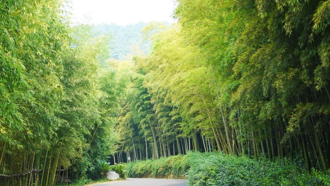 给青春一点仪式感，来吴中旅行吧！