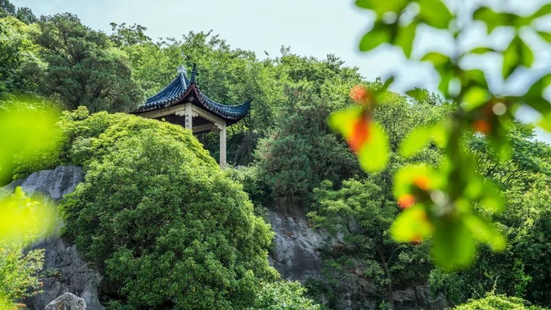 给青春一点仪式感，来吴中旅行吧！
