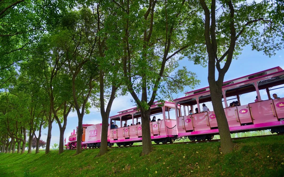 给青春一点仪式感，来吴中旅行吧！
