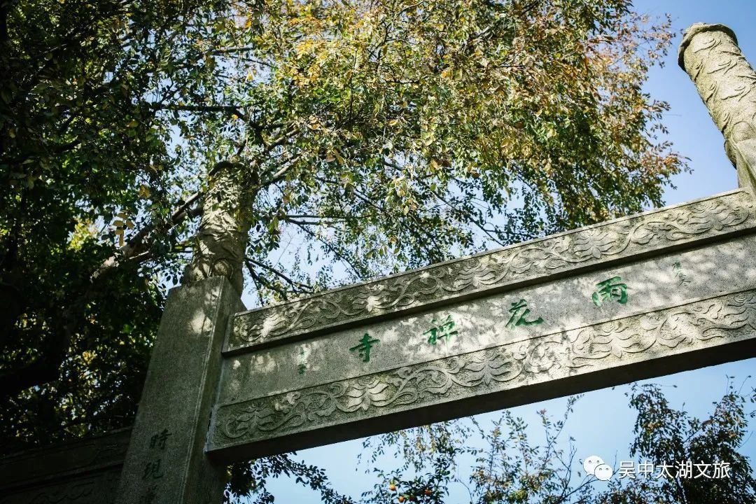 杨梅采摘线路来啦！好玩又好吃！