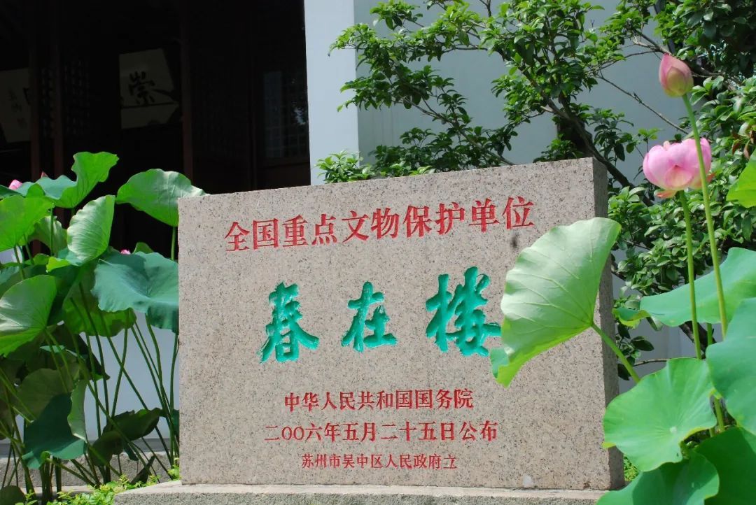 美啦！吴中荷花已“上线”，还不来瞧瞧?