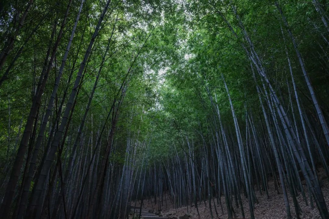 解锁吴中避暑胜地，足够你凉爽一夏！