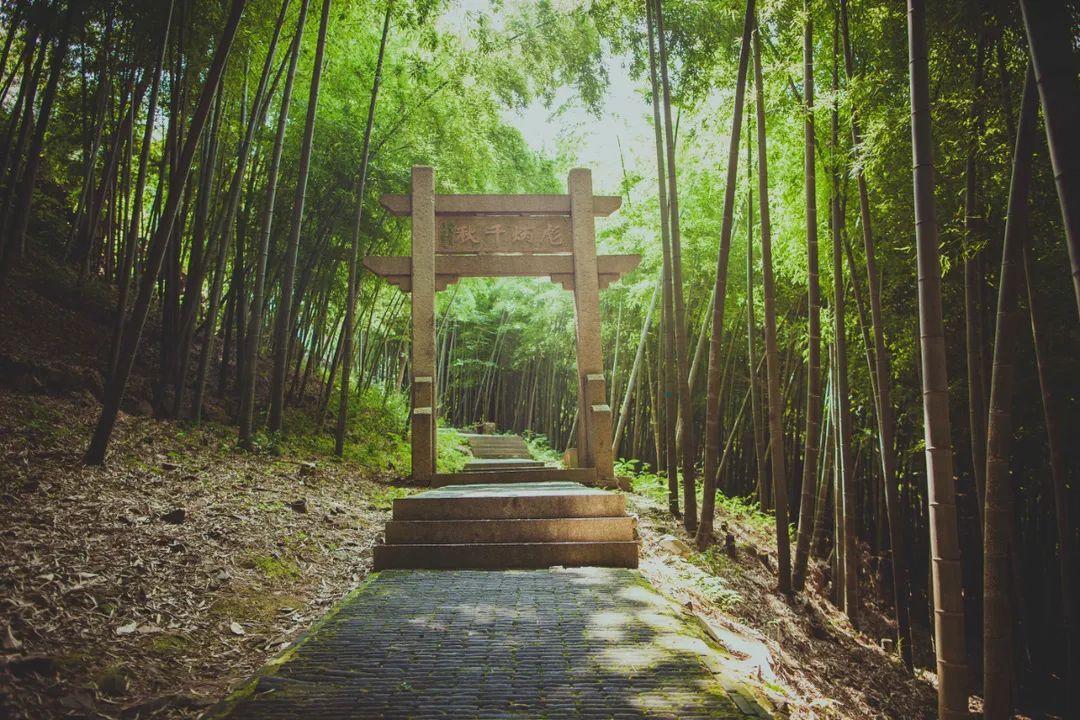解锁吴中避暑胜地，足够你凉爽一夏！