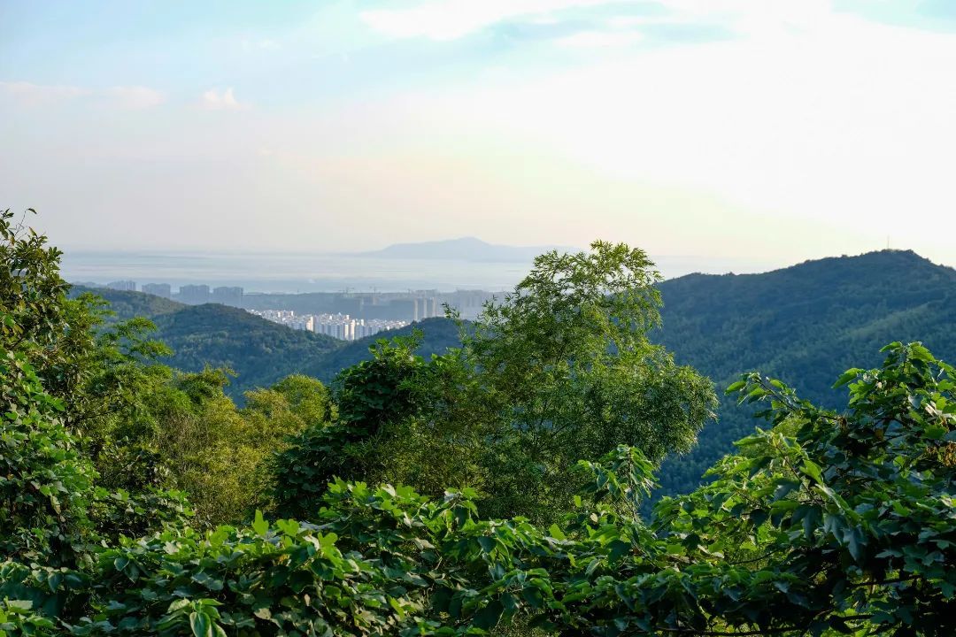 解锁吴中避暑胜地，足够你凉爽一夏！