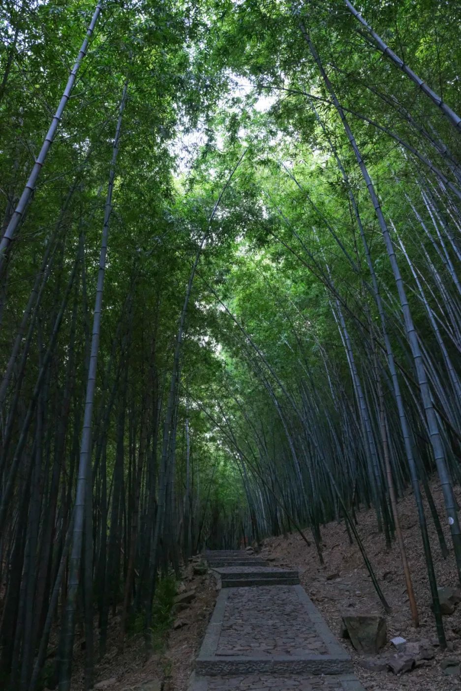 解锁吴中避暑胜地，足够你凉爽一夏！