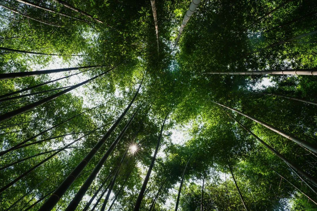 解锁吴中避暑胜地，足够你凉爽一夏！
