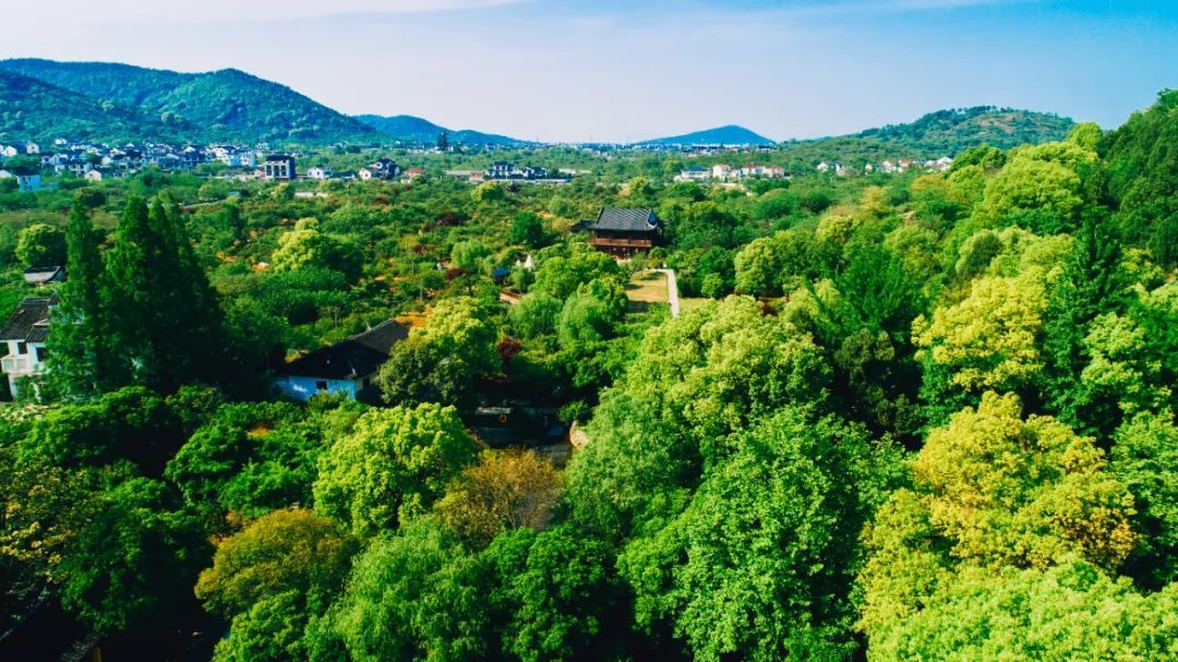 解锁吴中避暑胜地，足够你凉爽一夏！