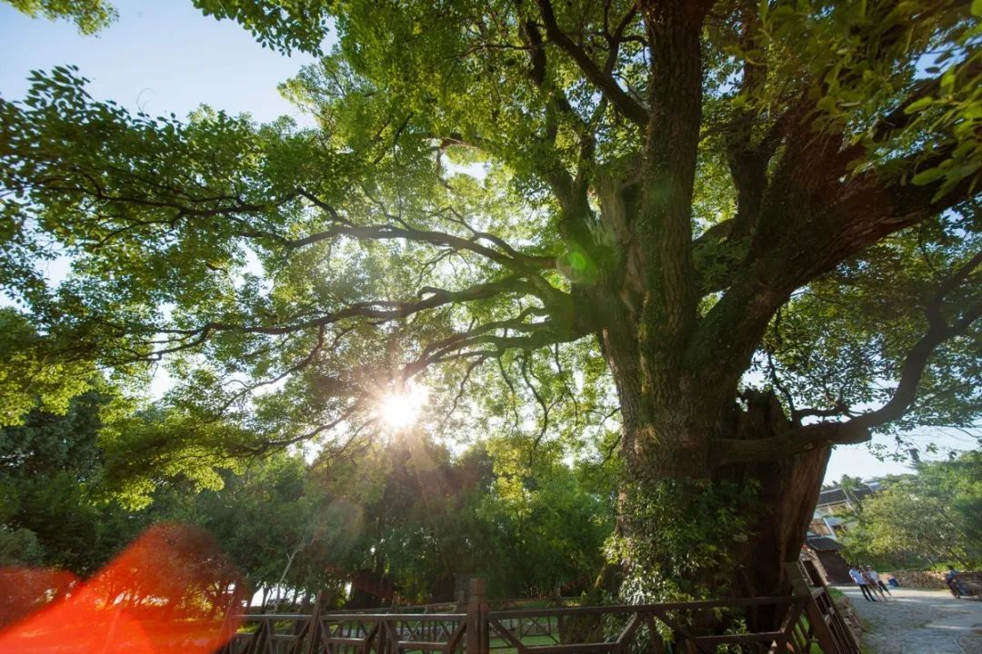 解锁吴中避暑胜地，足够你凉爽一夏！