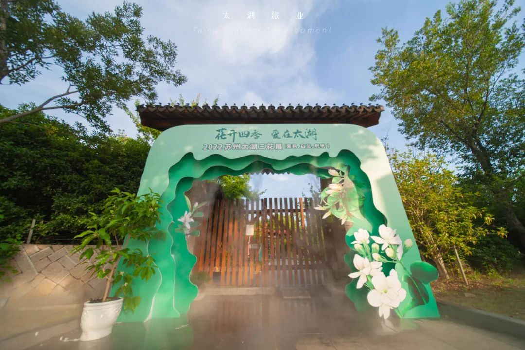 10000余株！这场花展不简单！