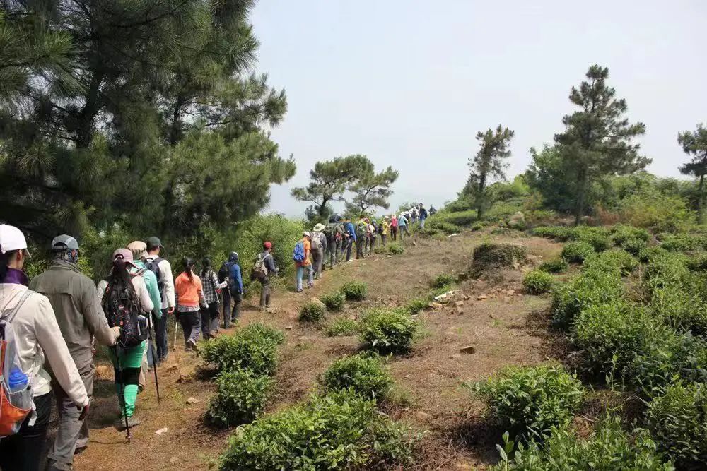 12条健身（登山）步道快来打卡！