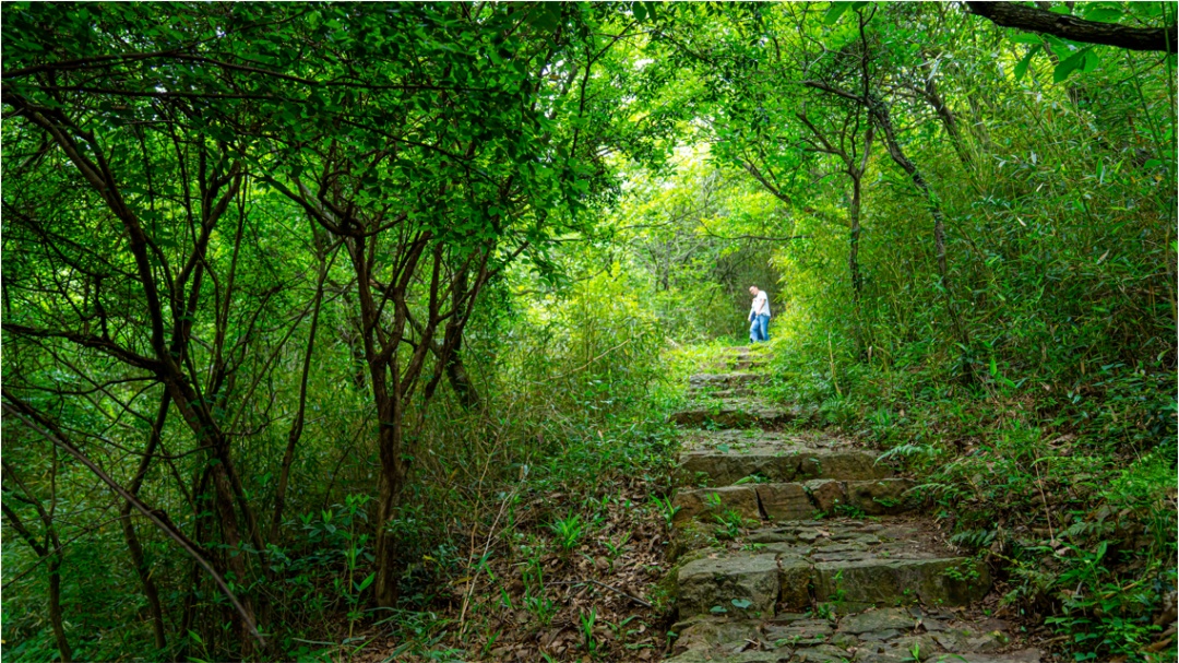 12条健身（登山）步道快来打卡！