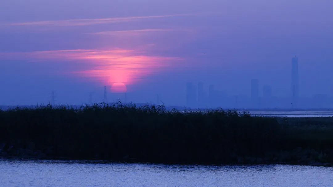 在吴中，寻找独属你的夏日浪漫！