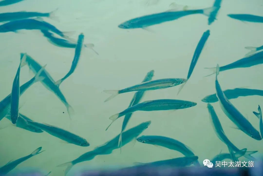 这个地方为你带来一片清凉！