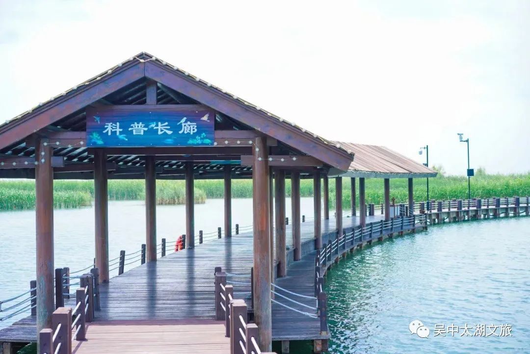 这个地方为你带来一片清凉！