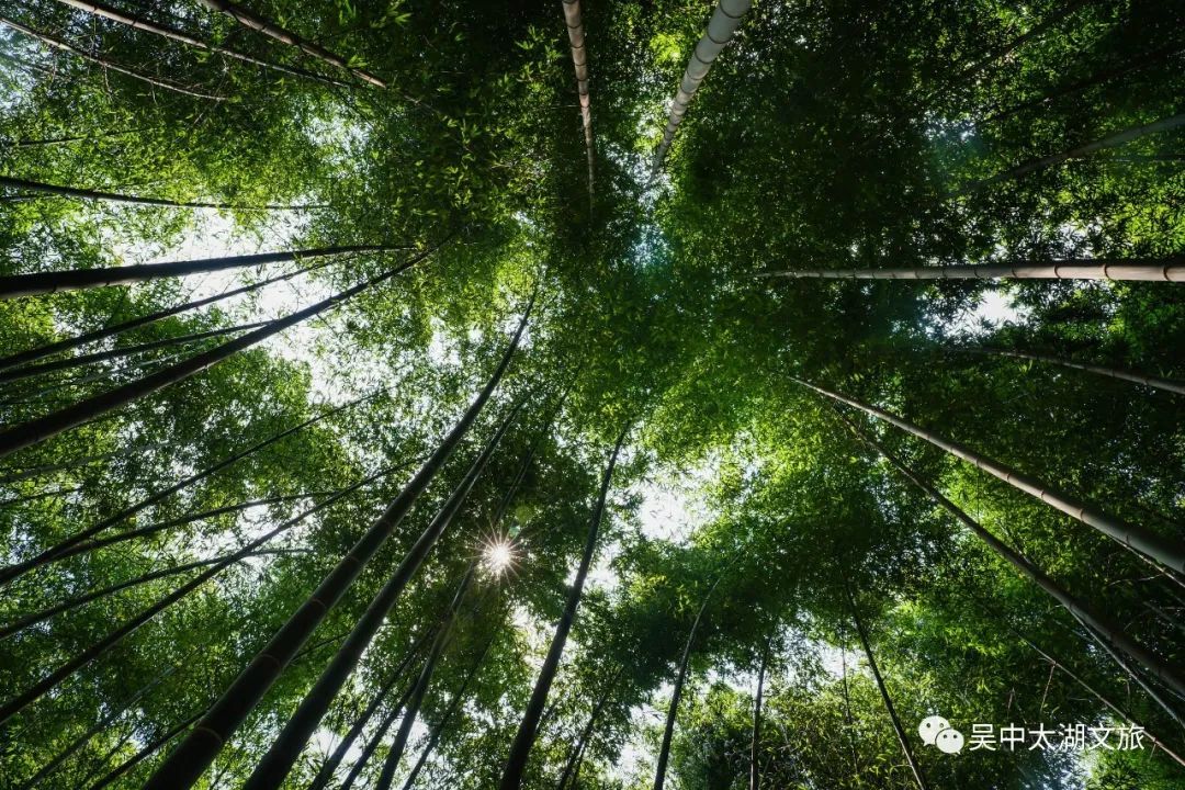 吴中最消暑的玩法是……
