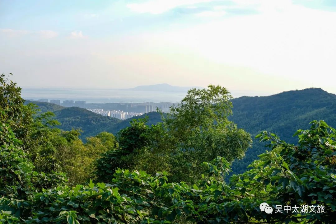 吴中最消暑的玩法是……