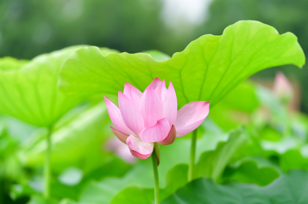 吴中最消暑的玩法是……