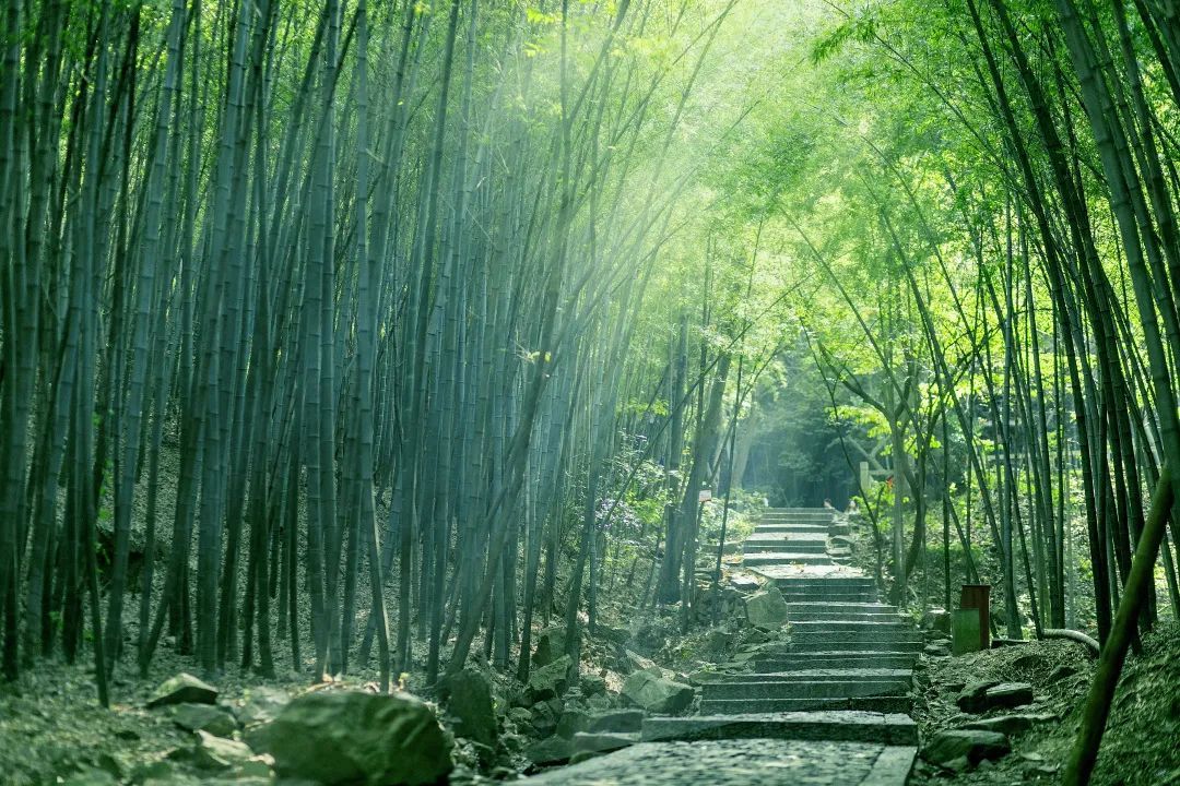对对对，这样有态度的T恤你也应该有一件！
