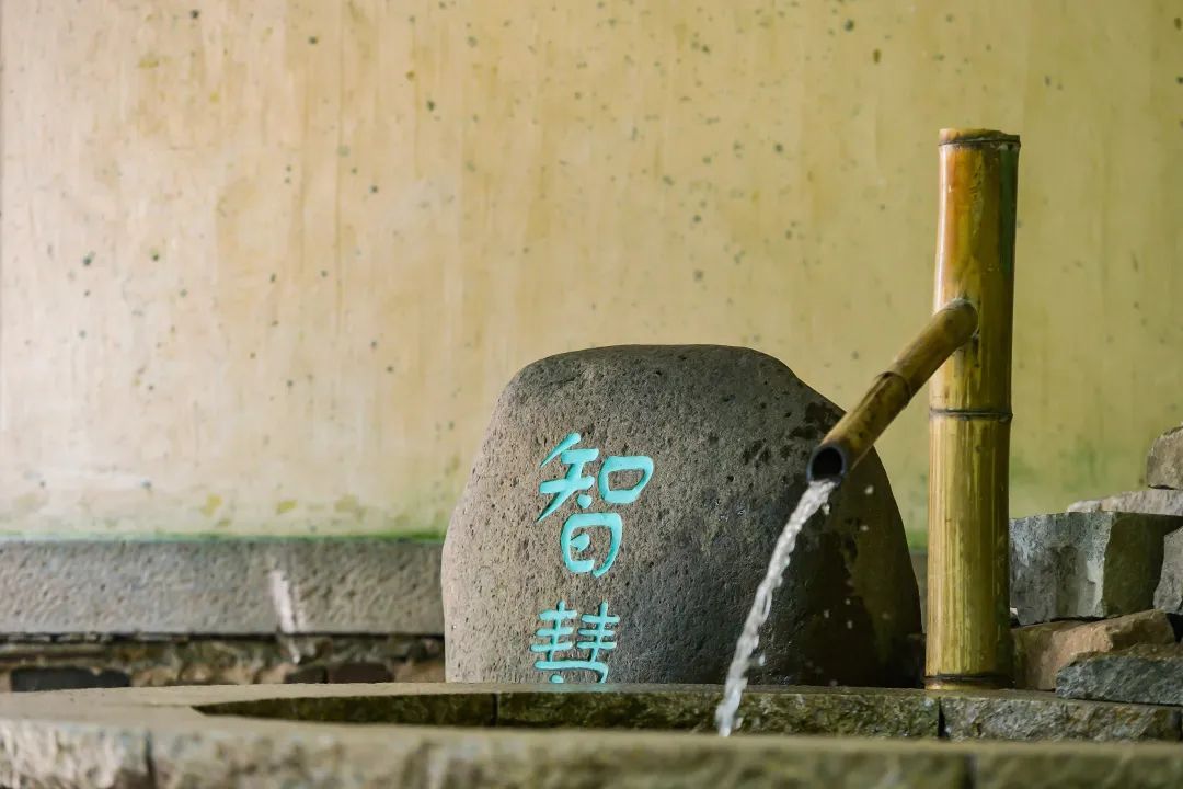 对对对，这样有态度的T恤你也应该有一件！