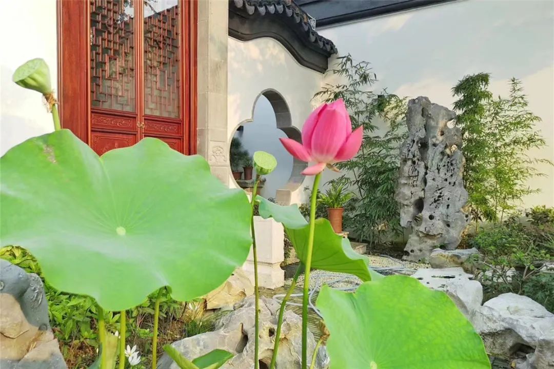 一半园林诗意，一半烟火人间！
