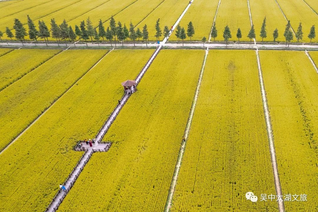 想与你分享，林渡暖村的至美时刻！