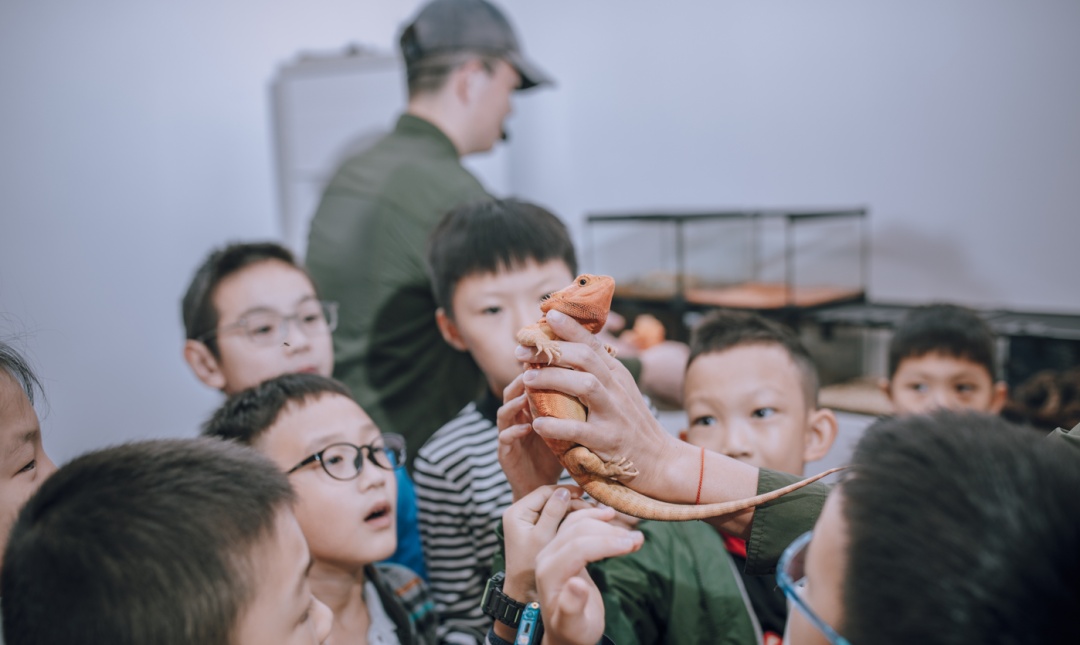 惊艳！吴中有个“掉落人间”的村庄！