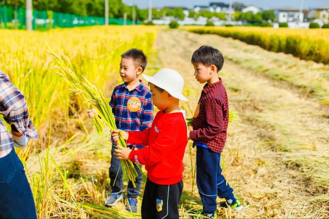 这块田里有快乐，欢迎来上一堂自然丰收课！