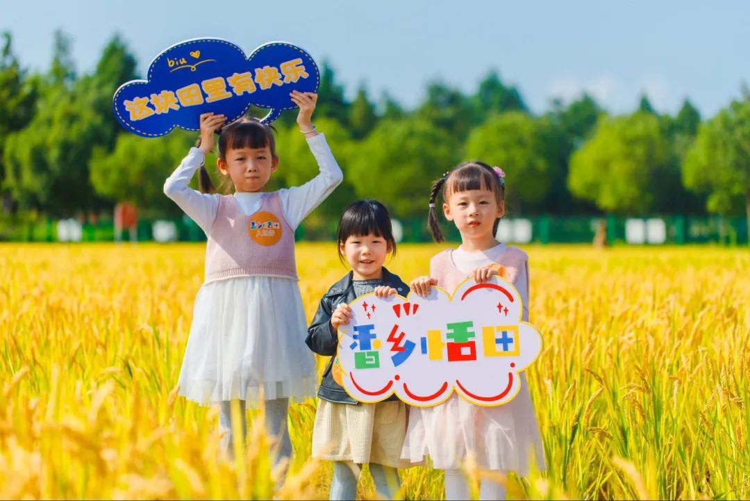 这块田里有快乐，欢迎来上一堂自然丰收课！