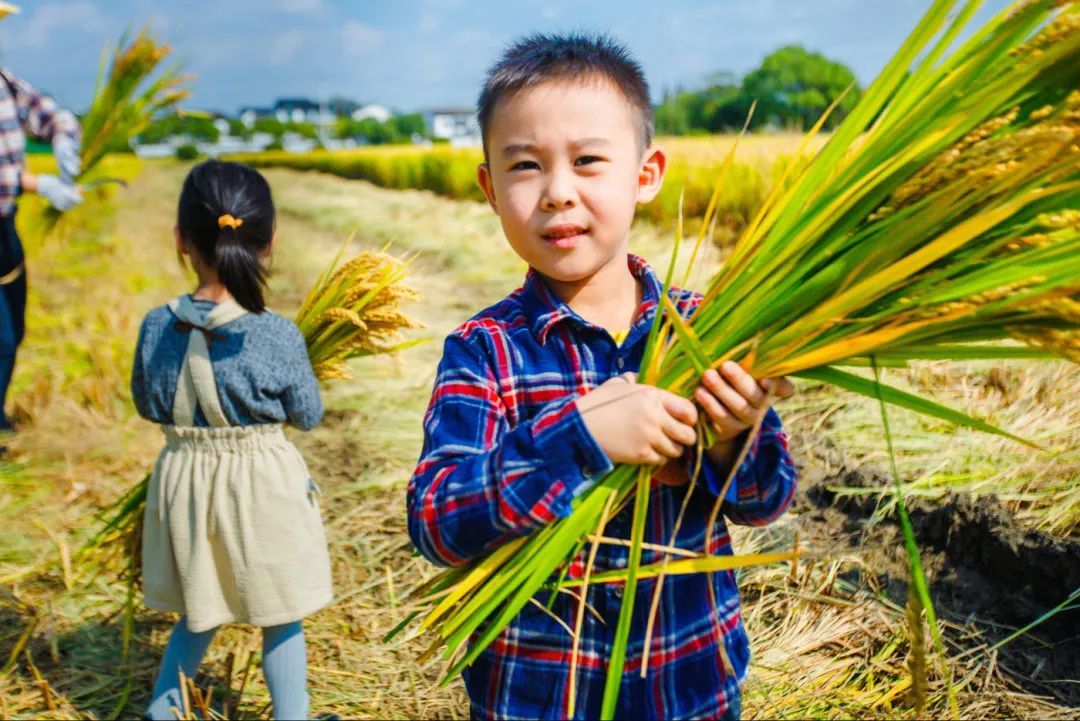 这块田里有快乐，欢迎来上一堂自然丰收课！