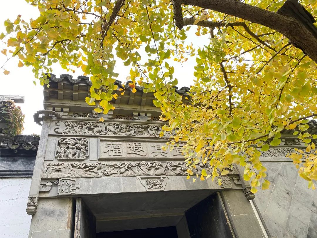 银杏渐染满目金，又到最美赏叶时！