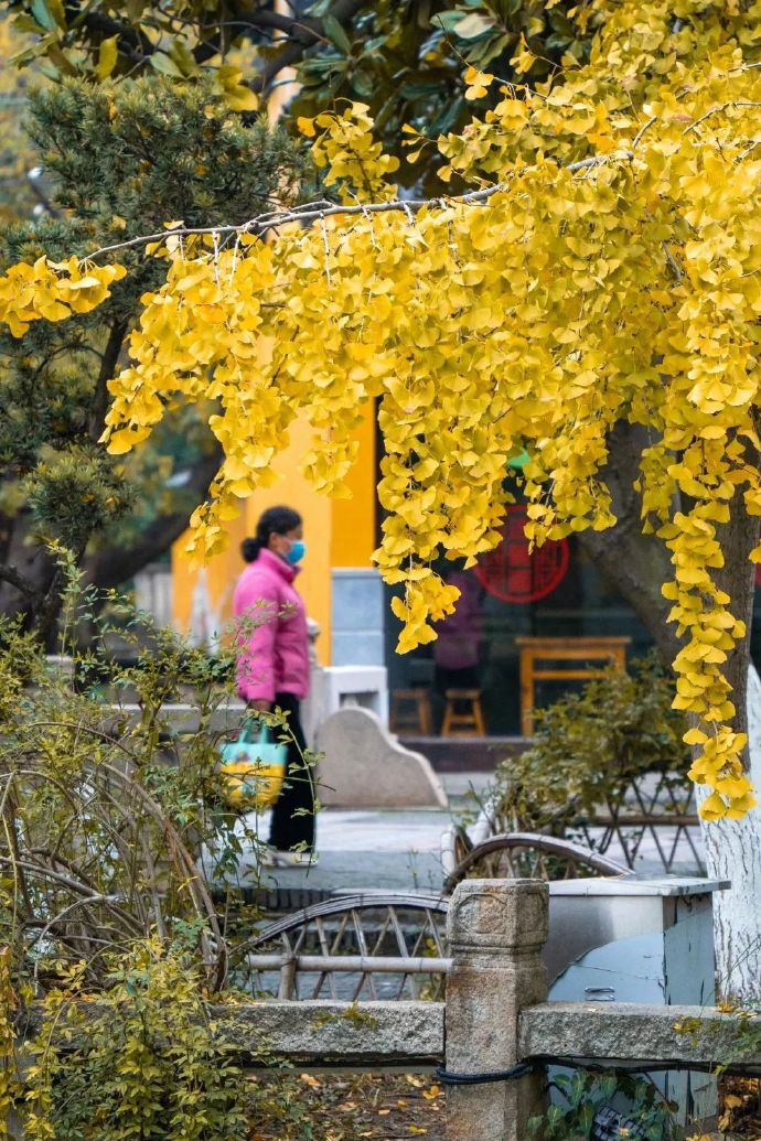 冬日打卡计划：木渎古镇山塘街