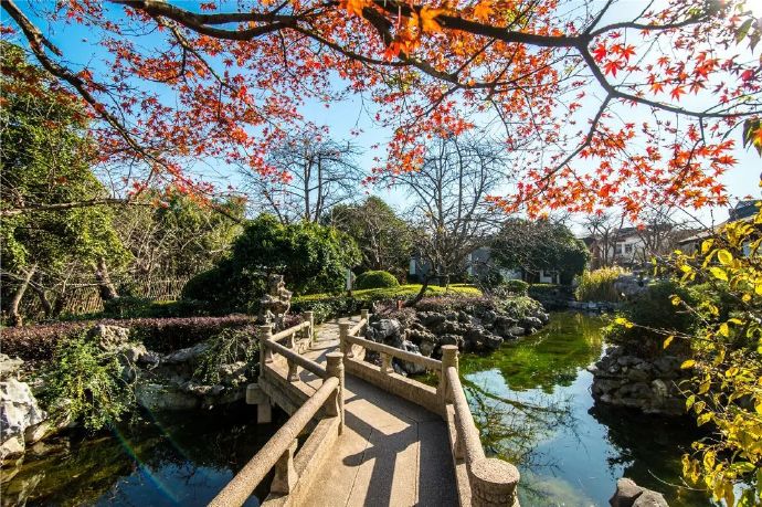东山雕花楼：别样的冬日胜景