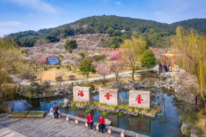 苏州太湖梅花节正式启幕 多彩活动升级消费新体验