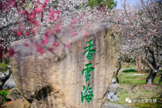 吴中赏梅地——香雪海