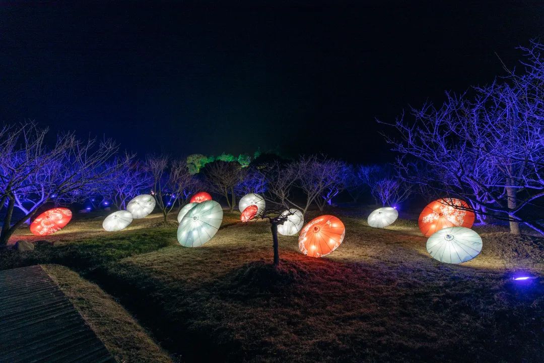 香雪海景区首次开放夜游项目