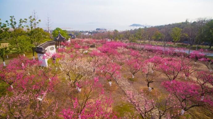 吴中赏梅地——渔洋山