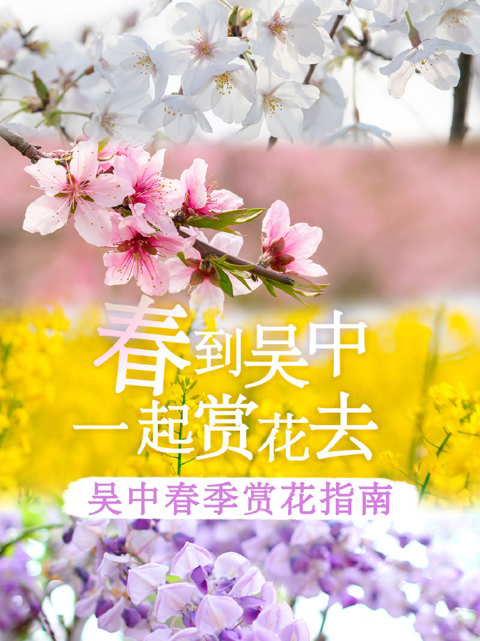 吴中春天的仪式感，从赏花开始~