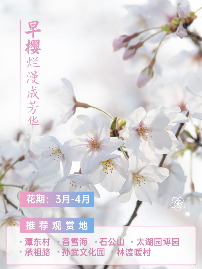 吴中春天的仪式感，从赏花开始~