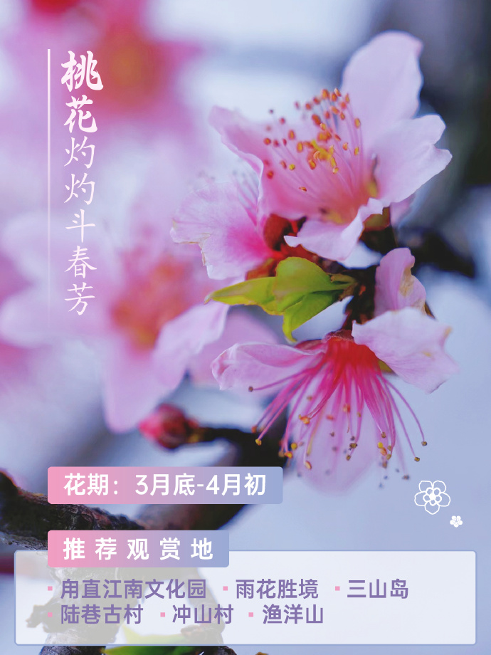 吴中春天的仪式感，从赏花开始~