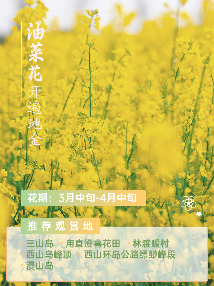 吴中春天的仪式感，从赏花开始~