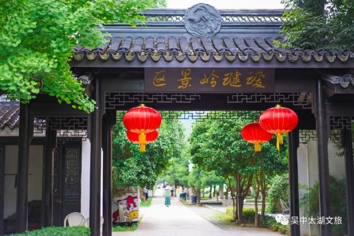 春茶采摘忙，一起泡在旺山的茶园里