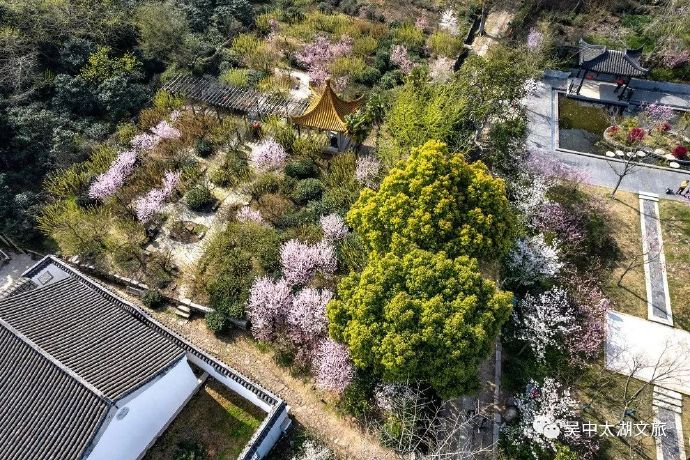 雨花胜境古韵悠长春意浓