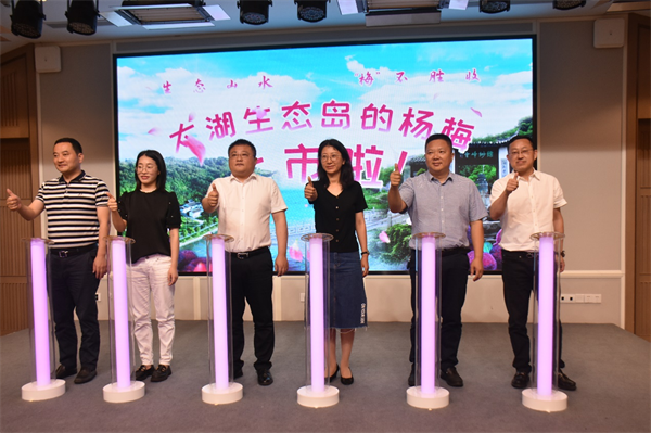 太湖生态岛2023杨梅采摘新闻发布会成功举办