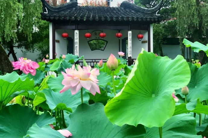 光福宝藏避暑地：司徒庙·邓禹茶轩
