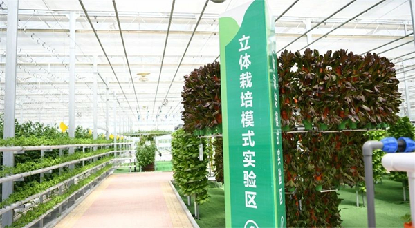 宿城：农文旅融合 “融”出乡村振兴好前景