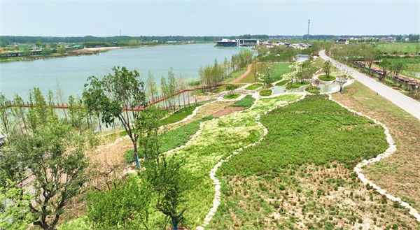 宿城：“最田园、最乡村”尽在“牛角村”