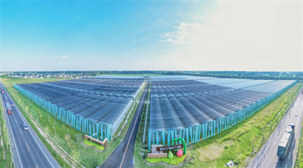 宿城：前方到站，省全域旅游示范区——宿城！