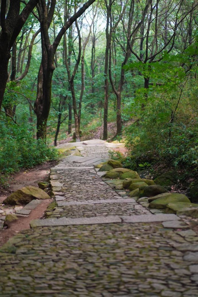 春暖花开，登高望远，踏青赏景