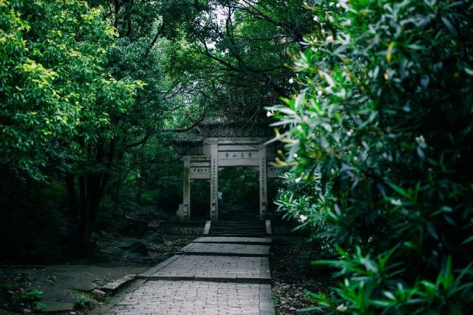 春暖花开，登高望远，踏青赏景